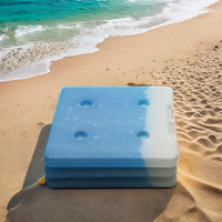 Blocs de glace à changement de phase PCM de grande taille de 1300 ml pour la chaîne du froid et les sacs isothermes