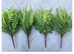 Plante de <span class=keywords><strong>fougère</strong></span> artificielle en pot pour <span class=keywords><strong>d</strong></span>écoration intérieure, mariage, <span class=keywords><strong>ornement</strong></span>, <span class=keywords><strong>fougère</strong></span> persane artificielle - Product Image 6