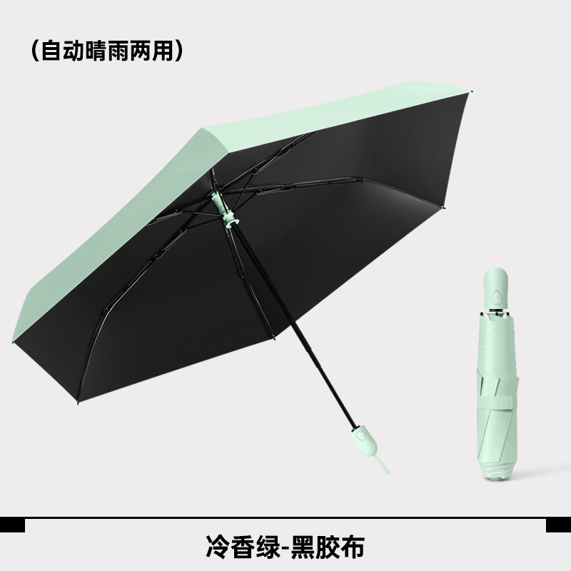 Parfum frais vert-trois fois 6 sections ultra-léger-standard s