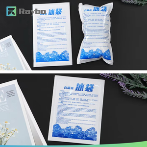 Paquete de Gel Refrigerante RAYBO para Entrega de Alimentos, Envío, Refrigerador, Paquete Frío - Product Image 2