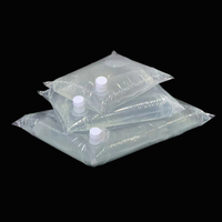 Sac BIB aseptique 3L 5L 10L 15L 20L pour café, vin, sirop, jus, eau, liquide, avec distributeur en boîte et valve Vitop