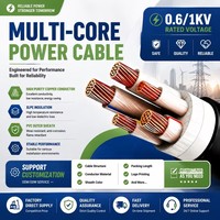 Cable de Alimentación XLPE de 0.6/1kV y 5 Núcleos, YJV de 3+2 Núcleos, Conductor de Cobre, Revestimiento de PVC, Según la Norma IEC 60502-1