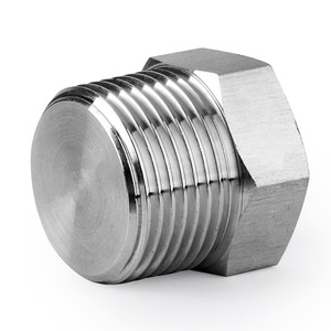 Bouchon hexagonal en acier inoxydable à filetage externe PT NPT 4 6 8 mm 22 x 1,5 mm Série DIN 300 - Product Image 1