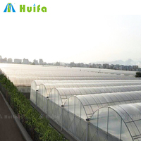Cadre en métal Agriculture Serre Tunnel Serre Avec Système Hydroponique Pour La Culture De Tomates