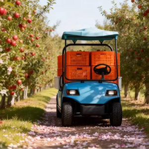 Nouvelle voiturette de golf A2.H8 à deux places, à une rangée, ouverte, pour le transport de marchandises, adaptée aux travaux agricoles ruraux, en ferme et en <span class=keywords><strong>plantation</strong></span>. - Product Image 1