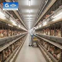 Nouvelles cages à poulets automatiques en acier galvanisé de type H Linchuan pour l'élevage avicole avec une durée de vie de 15 à 20 ans