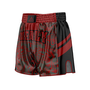 Pantalones cortos de entrenamiento de diseño elegante hechos a medida HEALY pantalones cortos de lucha de boxeo atléticos con estampado artístico para hombres - Product Image 2