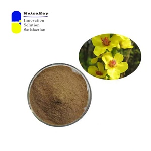 有機ムレイン葉エキス4:1パウダー | Verbascum Thapsus L. | 呼吸サポート、肺デトックス & 免疫ブースト | バルクサプライヤー - Product Image 1