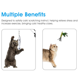 Đồ chơi cần câu thu vào tương tác cho mèo, đồ chơi lông vũ trêu chọc mèo - Product Image 5