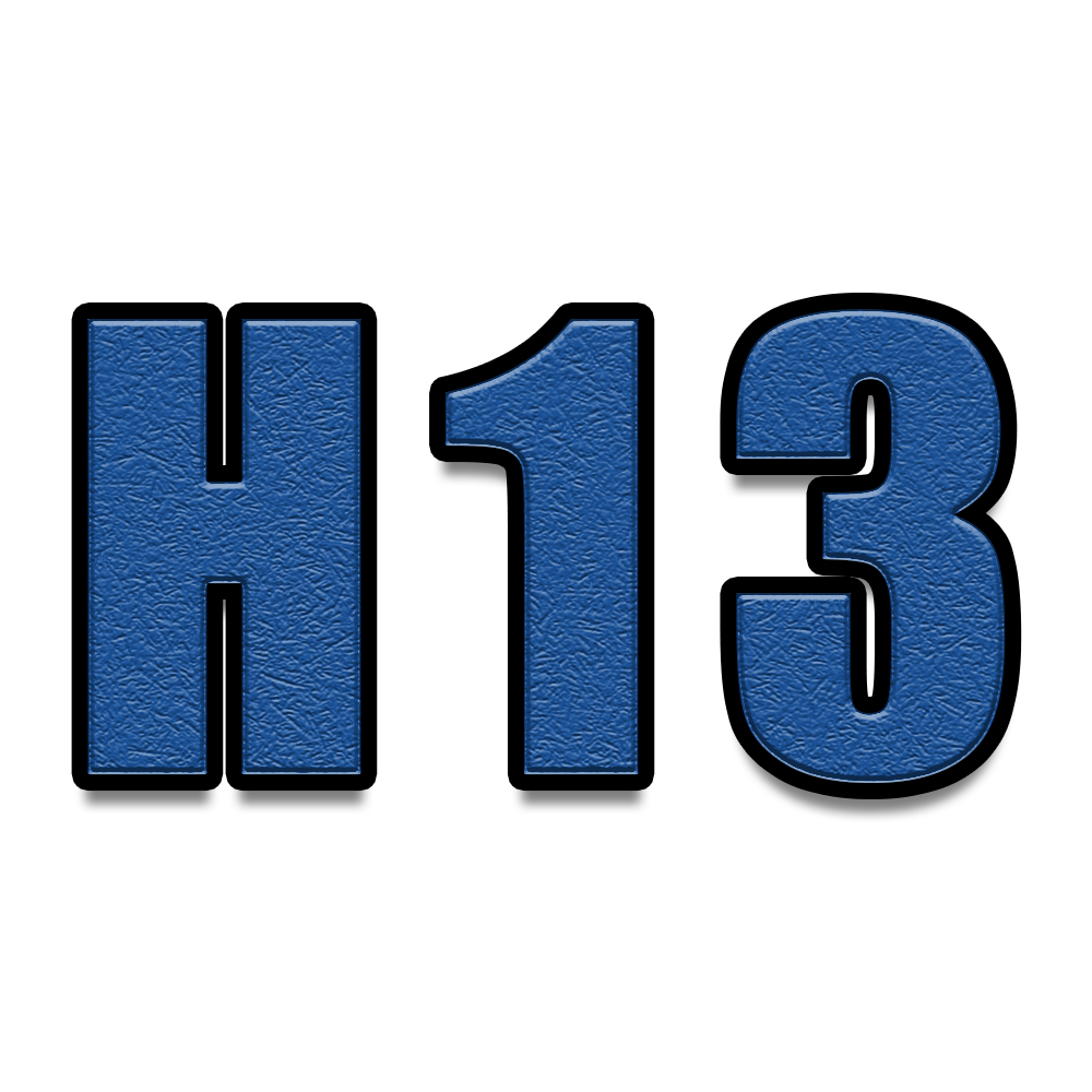 เอช13