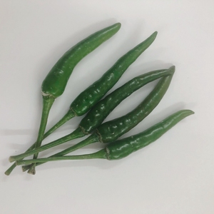 Venta caliente de chiles verdes frescos de alta calidad de Vietnam Especias individuales en piezas Procesamiento crudo Precio bajo Exportación - Product Image 3