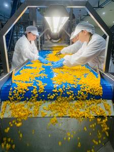 Mua sỉ đào tươi đông lạnh, đào vàng đông lạnh, đào <span class=keywords><strong>IQF</strong></span> bổ dưỡng, hình khối, lý tưởng cho nhà nhập khẩu và nhà phân phối - Product Image 6