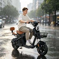 Vente directe d'usine. Moteur de vélo électrique haute vitesse 48V 800W. Capteur numérique. Vélo à pédales à batterie au plomb. Mini vélo électrique urbain pour femmes