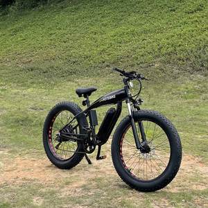 Vélos électriques D1 <span class=keywords><strong>Pocket</strong></span> <span class=keywords><strong>Bike</strong></span> électrique 48V 500W 750W 10AH 13AH Moto tout-terrain électrique - Product Image 2