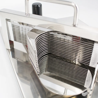 Machine à trancher les légumes de 5.5mm en acier inoxydable robuste pour magasin d'alimentation