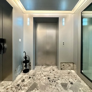 Modern Design Passenger <b>Elevator</b> with Gearless Traction Machine for Hotel & Mall Use High Capacity Stainless Steel - Product Image 1