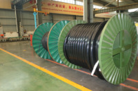 Cables de Potencia de Media Tensión MV 12kV 24kV 35kV NA2XS2Y NA2XS(F)2Y NA2XSH 1x35 1x400mm XLPE PVC Blindados Estándar IEC