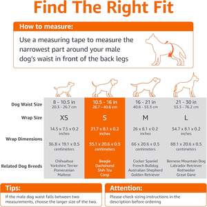 Basics-Couches pour chien mâle, 30 fils, petit, enveloppe jetable ultra absorbante avec ajustement sécurisé, étanche et confortable - Product Image 4