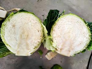 Bắp cải tròn tươi bắp cải tươi mới - Product Image 2