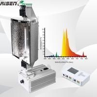 Lámpara de Cultivo HPS de 1000W, Lámpara de Sodio de Alta Presión de Doble Extremo con Balastro Electrónico