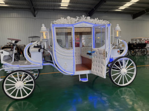 HengYiSheng Chariot de balade électrique de type Cendrillon pour visites de parcs - Product Image 6