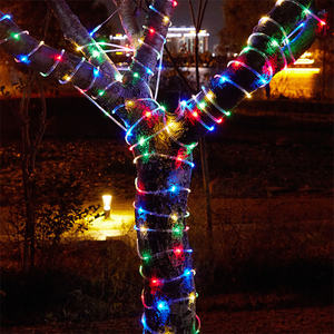 Décoration de paysage de rue extérieur IP65 Led Rope Light Warm White Color Pvc 20 80 70 Double Row Green Led Rope Light F5 Dip - Product Image 3