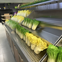 Zware-duty rekken supermarkt groente- en fruitdisplay schappen met gesloten bovenste deel