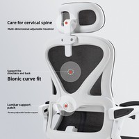 Chaise de bureau ergonomique avec support lombaire, inclinable, siège confortable pour une utilisation prolongée, chaise d'ordinateur à roulettes en maille pour la maison
