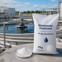 Polyacrylamide Anionique (APAM) pour l'Étanchéité des Sédiments Solides dans les Eaux Usées des Usines Céramiques