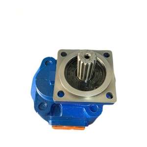 Bomba de doble engranaje Hansen CBY41254125, con precio competitivo, suministro directo del fabricante - Product Image 3