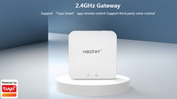 Passerelle WiFi Miboxer WL-Box2 2,4 GHz, application Tuya pour smartphone, contrôlée par la voix par des tiers, version améliorée, contrôleur de passerelle