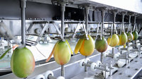 Volledig automatische schilmachine met lage pulpverlies, energiebesparend, voor mango, sinaasappel en aardappel, geschikt voor fruitverwerkingsbedrijven.