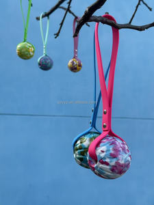 Umweltfreundliche Outdoor-Hundeleine im Modernen Stil mit Interaktivem PVC-Leder-Elastikball-Griff, Haustierfreundlich aus EVA-Material - Product Image 5