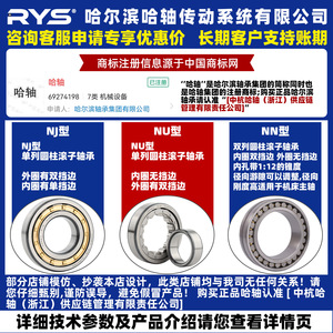 ตลับลูกปืนลูกกลิ้งทรงกระบอก rys 311 312 m EM C P5 C3เขาวงกตขนาดเส้นผ่านศูนย์กลางภายใน50มม - Product Image 2