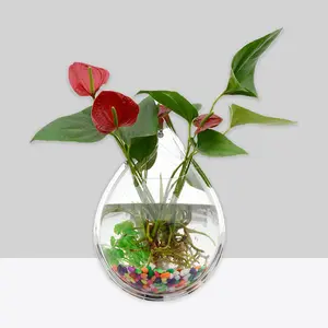 Factory Price Wholesale Clear Small Glass Fish Tank, Desktop Hang wall Fish Bowl Aquarium@