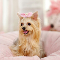Accessoire pour chien fait main toutes saisons, style simple, nœud écossais oreilles de lapin, motif uni en polyester, pince à cheveux pour chat