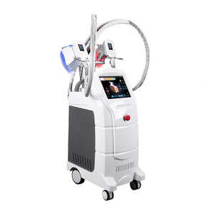 Appareil de <span class=keywords><strong>cryolipolyse</strong></span> Synogal à <span class=keywords><strong>prix</strong></span> d'usine, lumière LED 360°, cryothérapie corporelle, beauté PDT, congélation des graisses - Product Image 1