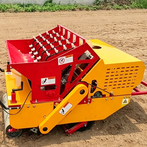 Sembradora de Ajo Autopropulsada Montada en Tractor, Máquina Sembradora de 5/12 Filas, Equipo de Plantación Automática - Product Image 6