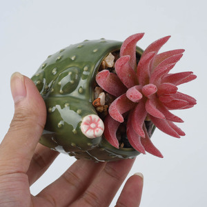Piante succulente artificiali dei piccoli vasi da fiori ceramici a forma di <span class=keywords><strong>cactus</strong></span> su ordinazione all'ingrosso mini - Product Image 6