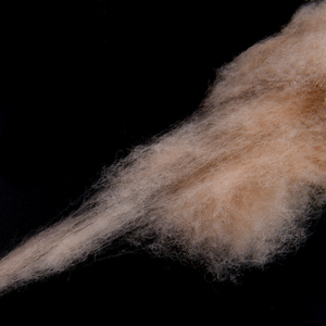 Venta al por mayor de lana de camello 19,5-20.5mic pelo de camello para girar con buen precio - Product Image 5