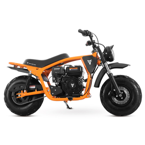 รถมอเตอร์ไซค์ Tao Motor ปี 2025 โครงเหล็กใหม่ ยางอ้วน 200 ซีซี มินิไบค์วิบาก - Product Image 5