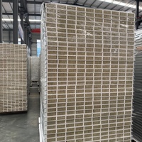 Paneles Sándwich de Lana de Roca Hechos a Mano y a Máquina para Laboratorios y Proyectos de Espacios Limpios