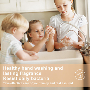 Bán Buôn Thân Thiện Với Môi Thuần Chay Rắn Rửa Tay Sủi Cleaner Máy Tính Bảng Đa-Mục Đích Tạo Bọt Tay Xà Phòng - Product Image 5