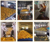 Machine de fabrication de chips de banane et de plantain bon marché, équipement de transformation de la banane, ligne de production