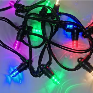 Lumière LED à immersion 14V 24V E14 0,3W Ampoule LED E14 Lampe LED E14 Éclairage LED Papaya et conception de <span class=keywords><strong>circuit</strong></span> DC DC14V 24V 15 - Product Image 4