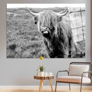 Highland <b>Cow</b> Canvas Art: Scottish Cattle Wall Decor - Printed Canvas,TEMPERED GLASS ART - Product Image 3