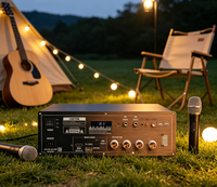 Module amplificateur DSP Type C TF AUX pour casque, guitare, micro, TWS, karaoké et enregistrement