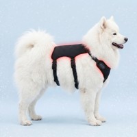 Bandeau de thérapie par lumière rouge pour animaux de compagnie 660nm 850nm, coussin LED infrarouge pour la récupération musculaire des pattes de chien et de cheval, usine OEM