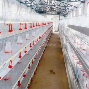 Tipo H Gallina <span class=keywords><strong>ponedora</strong></span> Alimentación automática y bebida Inmersión en caliente Galvanizado Pollo Jaula Capa Pollo Alimentador Equipo - Product Image 1