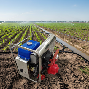 Bomba de Riego Agrícola Portátil JBQ8.5/2.5 con Altura de Elevación de 178.8m - Product Image 1